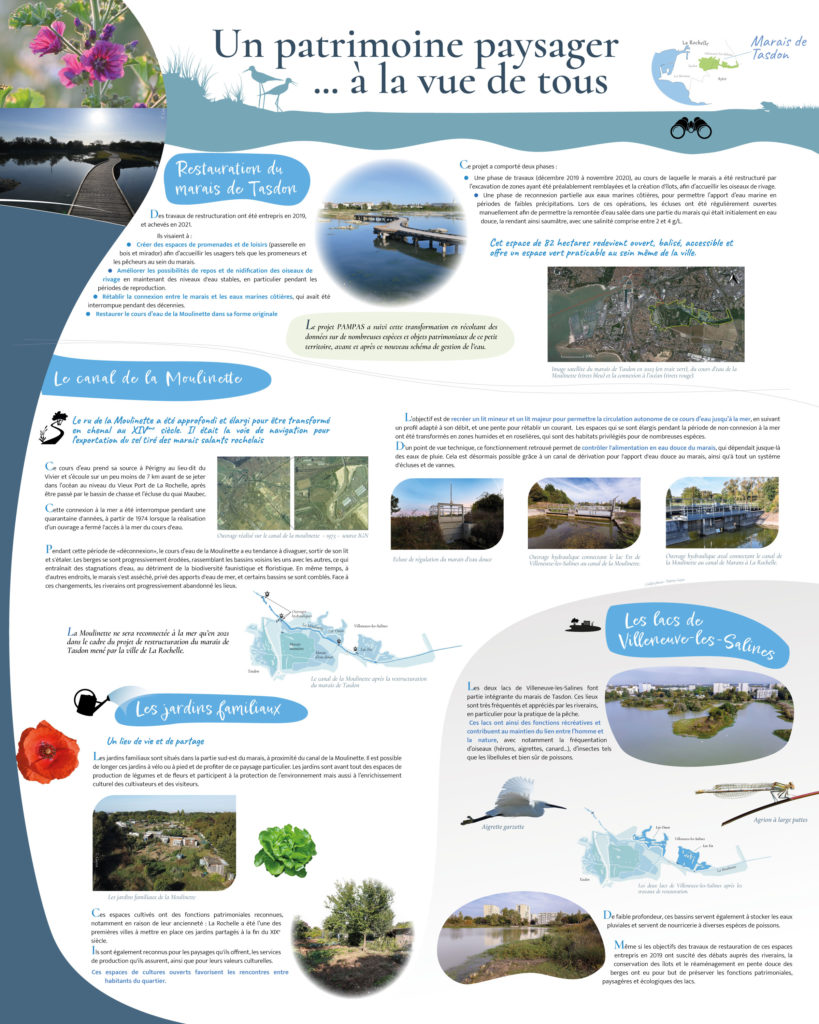Le patrimoine des marais littoraux dans le marais de Tasdon : quel devenir face à la submersion 1